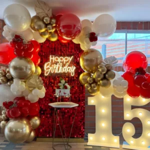 Luxury Birthday Sequin Wall Decoration with Premium Balloon Ring, Neon Light and Marquee Numbers